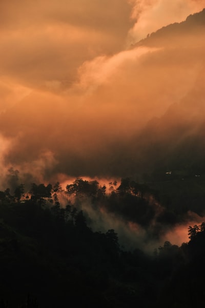 云下绿树成山